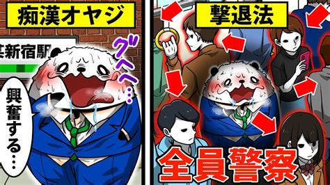 アニメ 痴漢|【逮捕の瞬間】痴漢常習犯を捕まえろ！【アニメ】 .